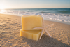 Pure Tallow Soap